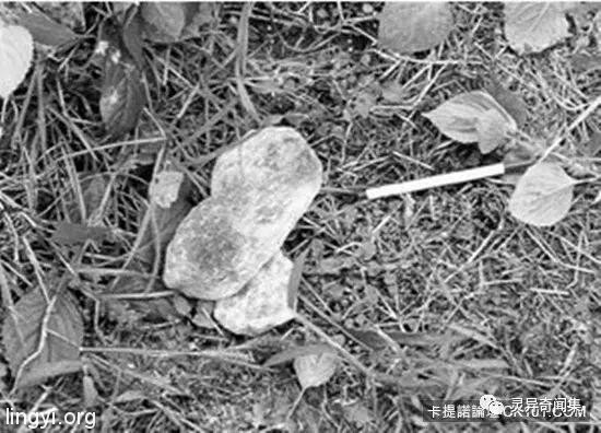 「受害者下体挖出水蜜桃块...」史上最残酷连环奸杀案 当照片曝光瞬间头皮发麻 「受害者下体挖出水蜜桃块...」史上最残酷连环奸杀案 当照片曝光瞬间头皮发麻