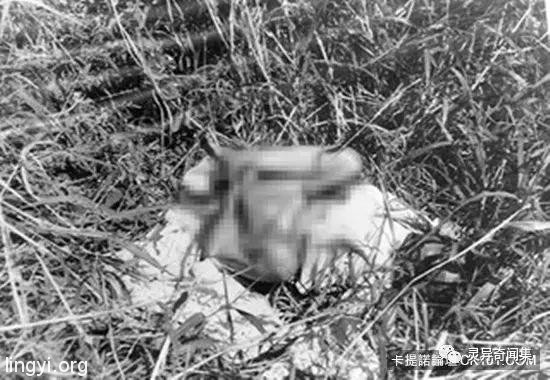 「受害者下体挖出水蜜桃块...」史上最残酷连环奸杀案 当照片曝光瞬间头皮发麻 「受害者下体挖出水蜜桃块...」史上最残酷连环奸杀案 当照片曝光瞬间头皮发麻