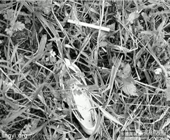 「受害者下体挖出水蜜桃块...」史上最残酷连环奸杀案 当照片曝光瞬间头皮发麻 「受害者下体挖出水蜜桃块...」史上最残酷连环奸杀案 当照片曝光瞬间头皮发麻