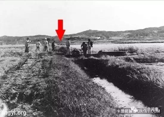 「受害者下体挖出水蜜桃块...」史上最残酷连环奸杀案 当照片曝光瞬间头皮发麻 「受害者下体挖出水蜜桃块...」史上最残酷连环奸杀案 当照片曝光瞬间头皮发麻