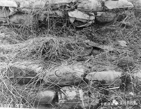 「受害者下体挖出水蜜桃块...」史上最残酷连环奸杀案 当照片曝光瞬间头皮发麻 「受害者下体挖出水蜜桃块...」史上最残酷连环奸杀案 当照片曝光瞬间头皮发麻