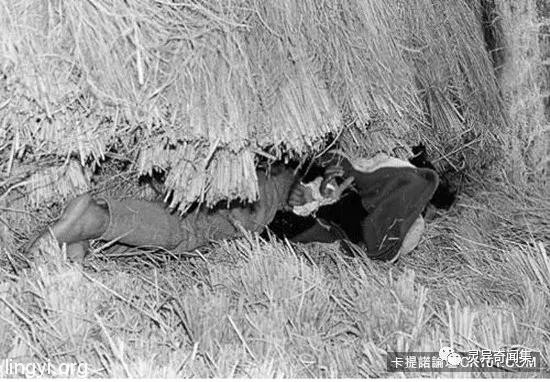 「受害者下体挖出水蜜桃块...」史上最残酷连环奸杀案 当照片曝光瞬间头皮发麻 「受害者下体挖出水蜜桃块...」史上最残酷连环奸杀案 当照片曝光瞬间头皮发麻