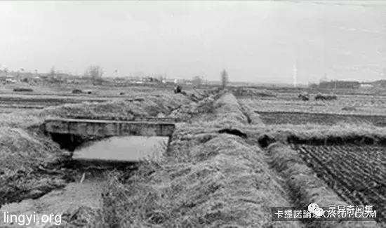 「受害者下体挖出水蜜桃块...」史上最残酷连环奸杀案 当照片曝光瞬间头皮发麻 「受害者下体挖出水蜜桃块...」史上最残酷连环奸杀案 当照片曝光瞬间头皮发麻