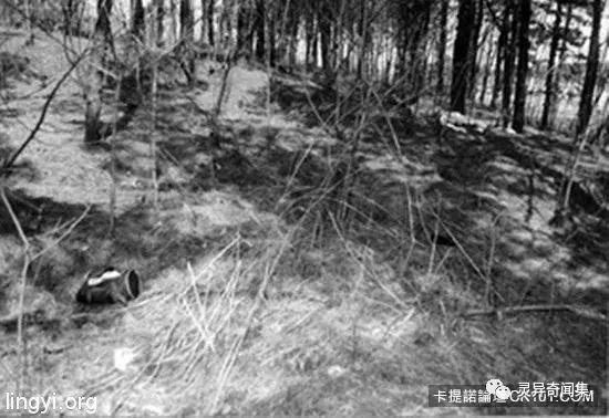 「受害者下体挖出水蜜桃块...」史上最残酷连环奸杀案 当照片曝光瞬间头皮发麻 「受害者下体挖出水蜜桃块...」史上最残酷连环奸杀案 当照片曝光瞬间头皮发麻