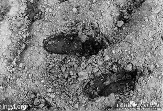 「受害者下体挖出水蜜桃块...」史上最残酷连环奸杀案 当照片曝光瞬间头皮发麻 「受害者下体挖出水蜜桃块...」史上最残酷连环奸杀案 当照片曝光瞬间头皮发麻