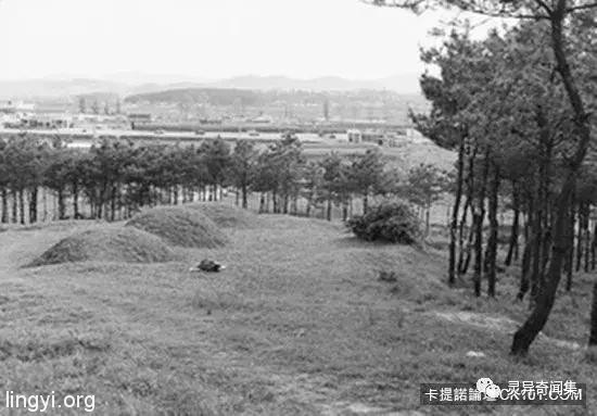 「受害者下体挖出水蜜桃块...」史上最残酷连环奸杀案 当照片曝光瞬间头皮发麻 「受害者下体挖出水蜜桃块...」史上最残酷连环奸杀案 当照片曝光瞬间头皮发麻