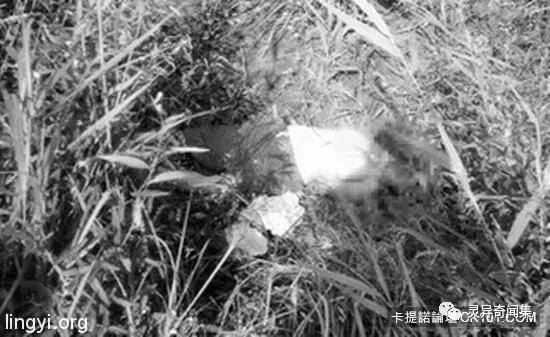 「受害者下体挖出水蜜桃块...」史上最残酷连环奸杀案 当照片曝光瞬间头皮发麻 「受害者下体挖出水蜜桃块...」史上最残酷连环奸杀案 当照片曝光瞬间头皮发麻