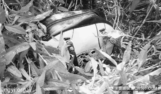 「受害者下体挖出水蜜桃块...」史上最残酷连环奸杀案 当照片曝光瞬间头皮发麻 「受害者下体挖出水蜜桃块...」史上最残酷连环奸杀案 当照片曝光瞬间头皮发麻