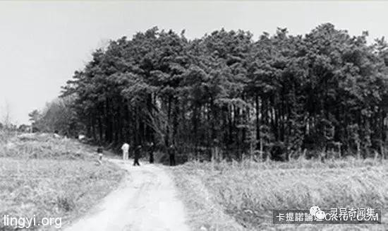 「受害者下体挖出水蜜桃块...」史上最残酷连环奸杀案 当照片曝光瞬间头皮发麻 「受害者下体挖出水蜜桃块...」史上最残酷连环奸杀案 当照片曝光瞬间头皮发麻