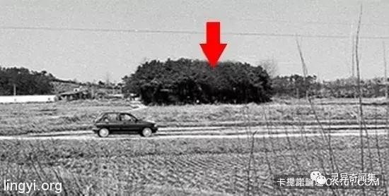 「受害者下体挖出水蜜桃块...」史上最残酷连环奸杀案 当照片曝光瞬间头皮发麻 「受害者下体挖出水蜜桃块...」史上最残酷连环奸杀案 当照片曝光瞬间头皮发麻