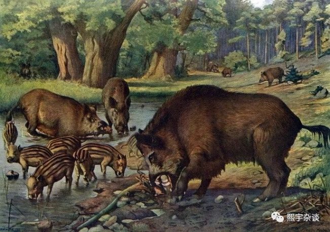 越战老兵讲述他的第一次奇异狩猎经历