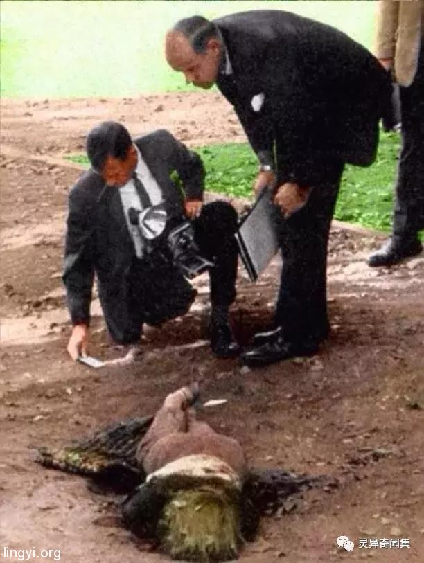 连环杀人魔悬案翻拍成电影 竟引出真兇前来观赏留下「超恐怖纸条」让所有人快吓吐...