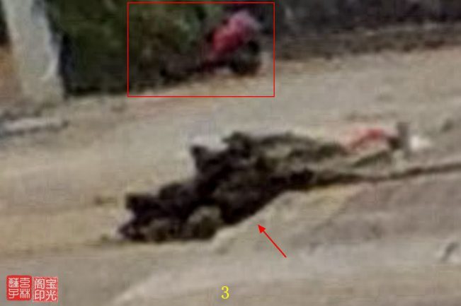 灵异照片:宅外之灵