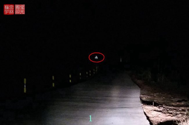 灵异照片：谁认识这两个灵异动物？