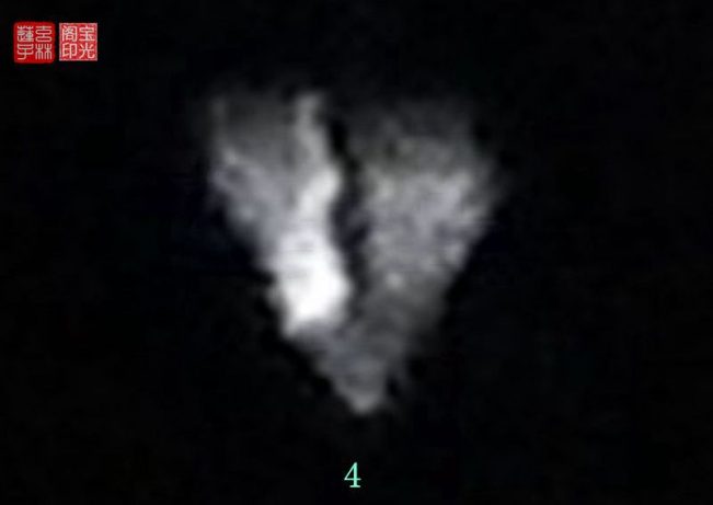 灵异照片：谁认识这两个灵异动物？