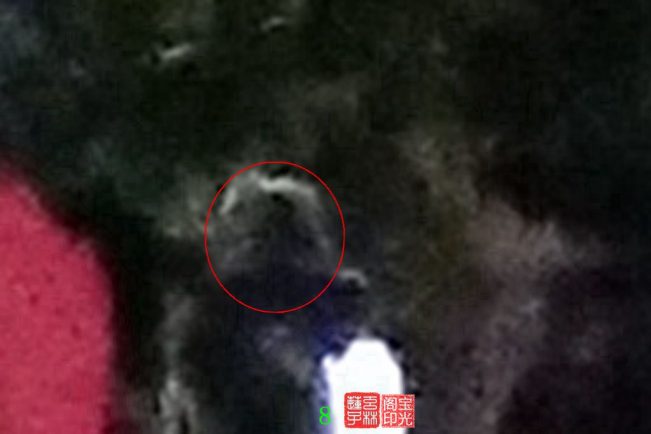 灵异照片:诡异小公园