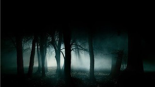 农村诡事八(梦异)