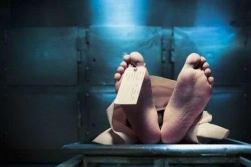 复活过来的姨姥姥