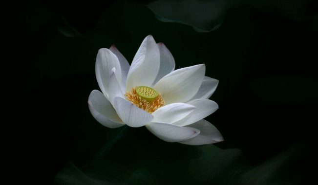 学佛必知:佛教在我国发展的三大历程!