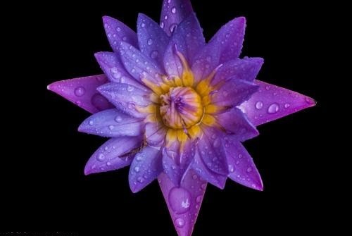 学佛必知:佛教在我国发展的三大历程!