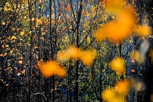 不可不知:隋朝六大高僧的贡献!