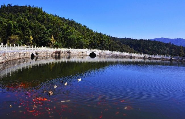 中国十大佛教道场,具体包含哪些?