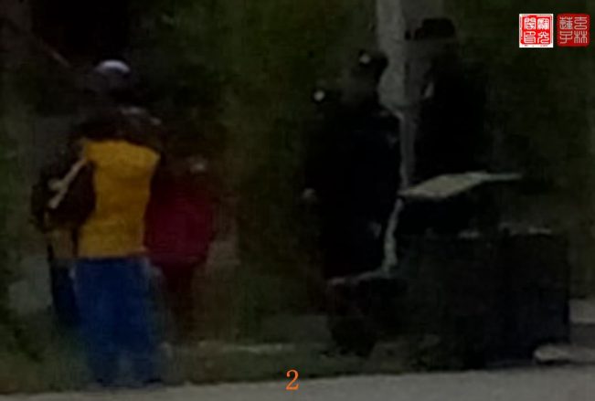 山兜灵异录：信不信由你