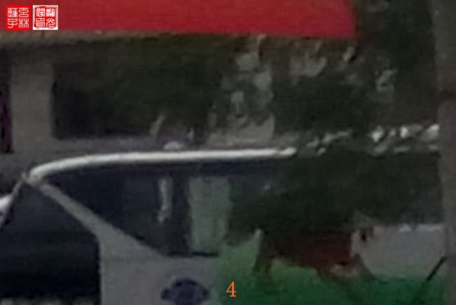 山兜灵异录:信不信由你