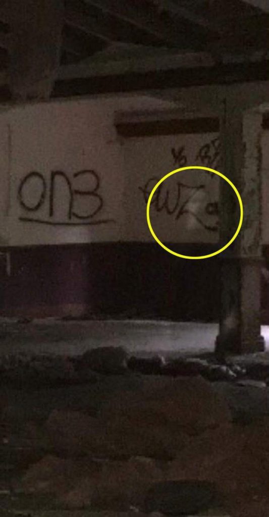 恐怖!英百年历史豪宅遭废弃惊现小男孩鬼魂,面部清晰脚步声急促 恐怖!英百年历史豪宅遭废弃惊现小男孩鬼魂,面部清晰脚步声急促