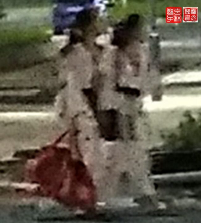 这两位女子是谁？