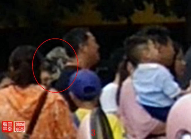 灵异兴致勃勃观看小朋友六一文艺表演