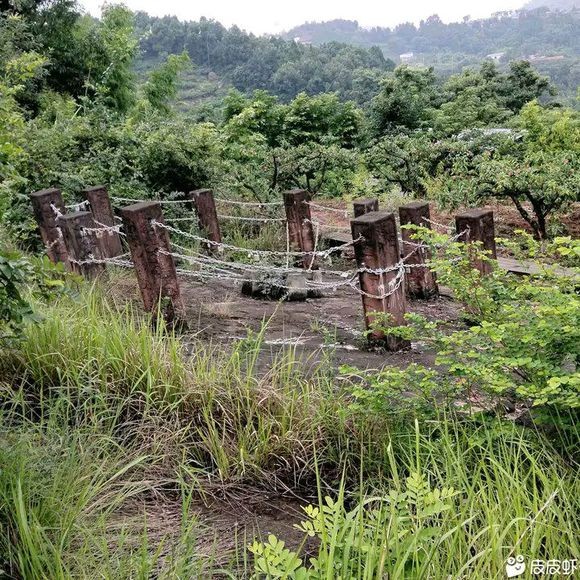有人知道是什么吗？看起来像是坟墓，又不太像，好像是用来锁住某些东西的，难道是“锁妖阵”？