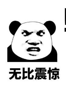 猫十七:写给喷子的话