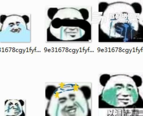 猫十七:写给喷子的话