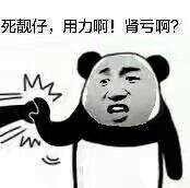 猫十七:写给喷子的话