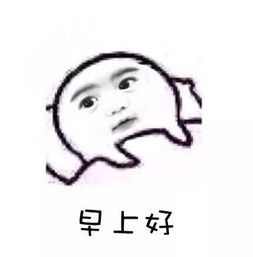 猫十七:写给喷子的话