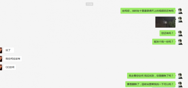 猫十七:昨天“龙”事件后续(无灵异)