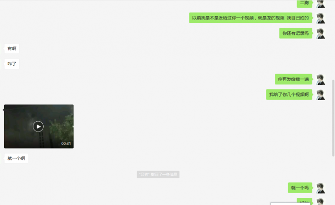 猫十七：昨天“龙”事件后续（无灵异）