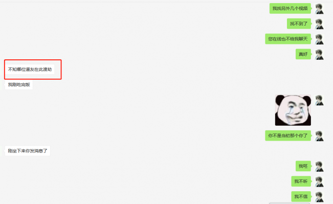 猫十七:昨天“龙”事件后续(无灵异)
