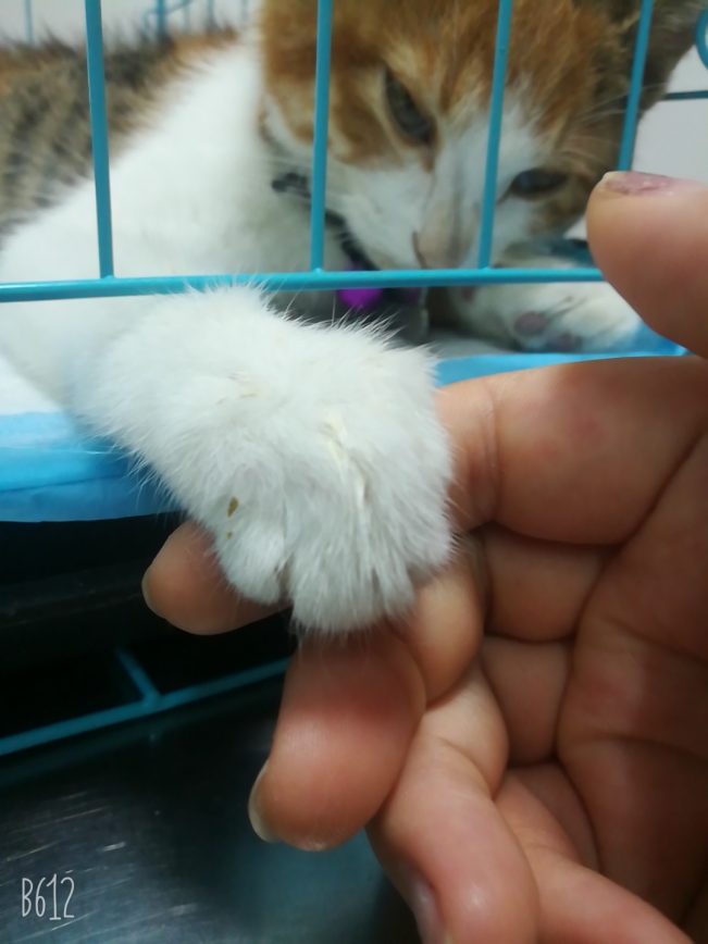 我想十七了❤️