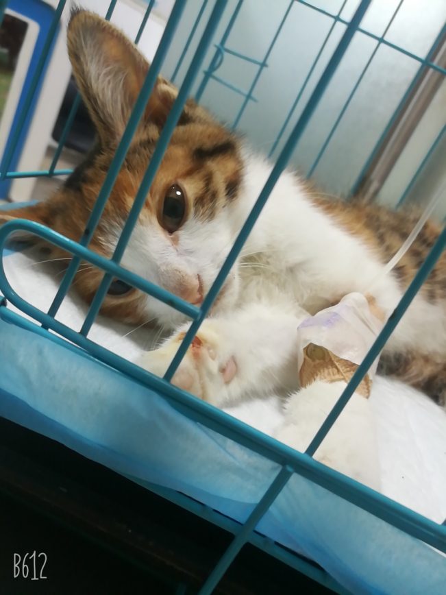 我想十七了❤️