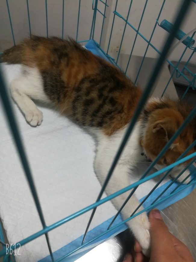 我想十七了❤️