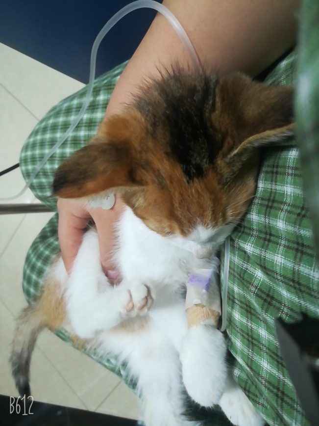 我想十七了❤️