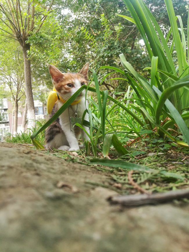 我想十七了❤️