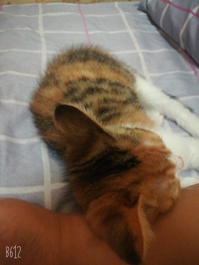 我想十七了❤️