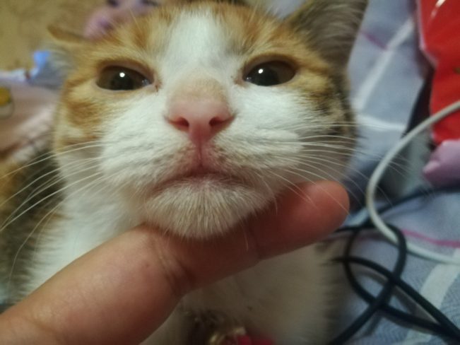 我想十七了❤️