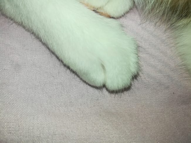 我想十七了❤️