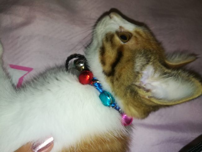 我想十七了❤️