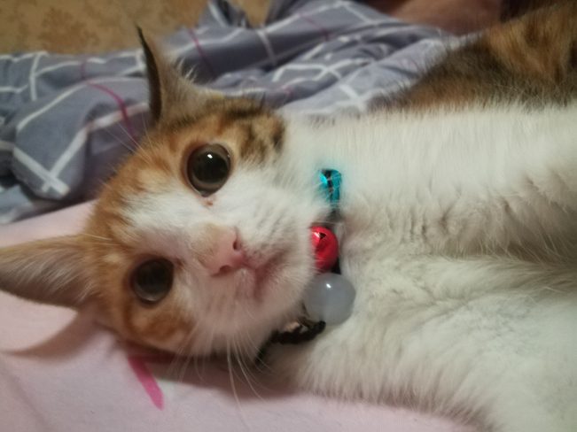 我想十七了❤️