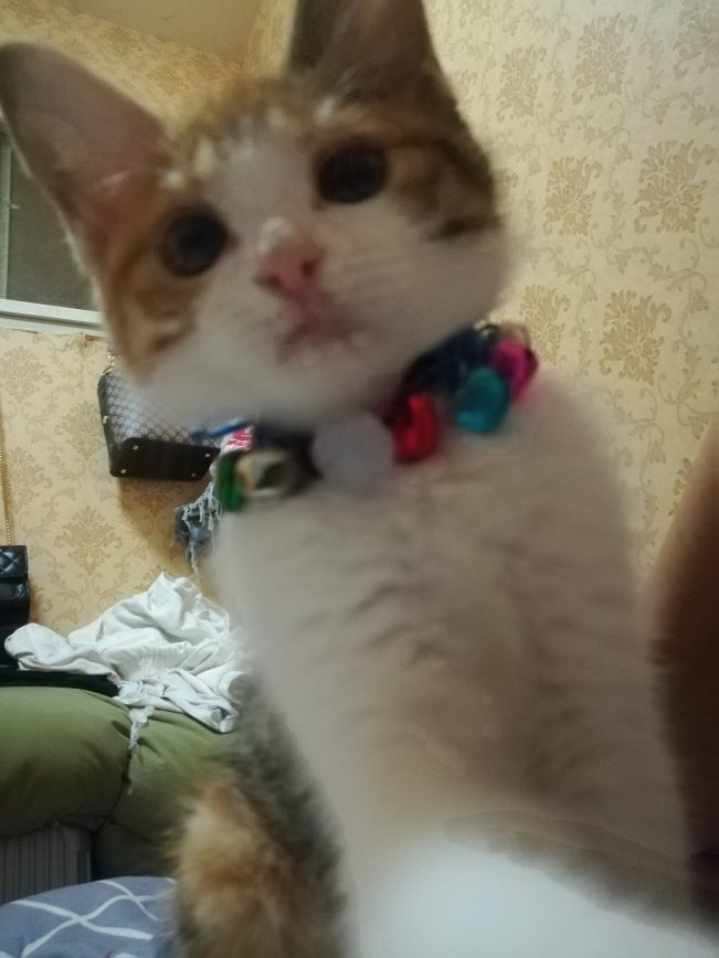 我想十七了❤️
